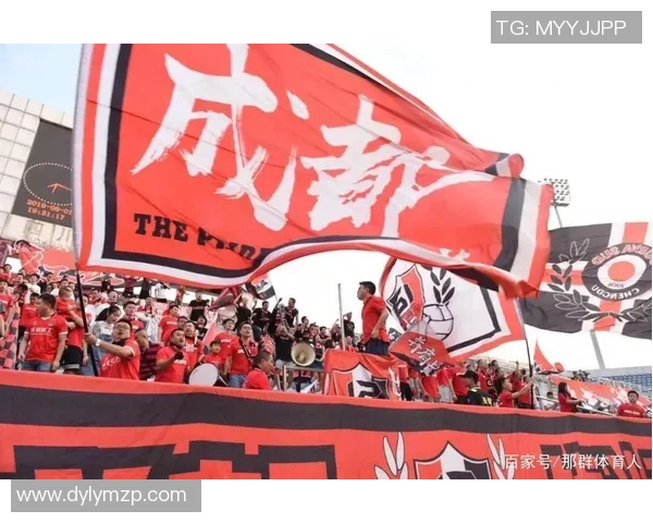 中超冠军荣耀背后的故事与崛起历程解析