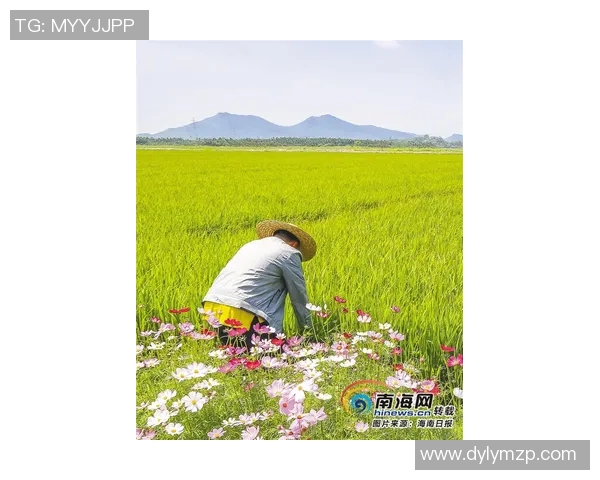 大米种植技术创新与可持续发展路径研究及其对农业生态环境的影响分析