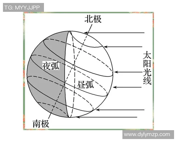 深圳排球队的节奏解析：深度探讨排球战术与团队协作的奥秘