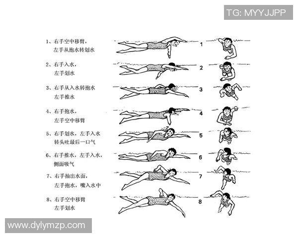 自由泳呼吸技巧解析 如何掌握科学有效的呼吸方法提高游泳效率