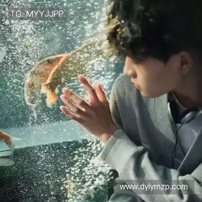 蓬宝蝶